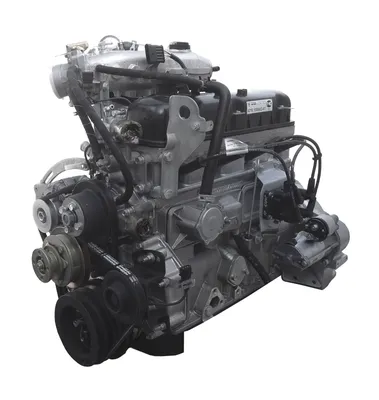 Двигатель ГАЗель Бизнес УМЗ 4216 ОО - купить с доставкой по России, низкие  цены