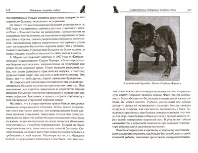 Иллюстрация 1 из 1 для Бойцовые породы собак. Происхождение. Современное  состояние. Обзор и описание пород - Дитер Флейг | Лабиринт - книги.  Источник: Лабиринт