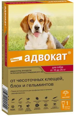 Advocate (Адвокат) - Капли против паразитов для собак 10-25 кг (1 пипетка)  купить Средства от блох и клещей собакам | Zoolandia