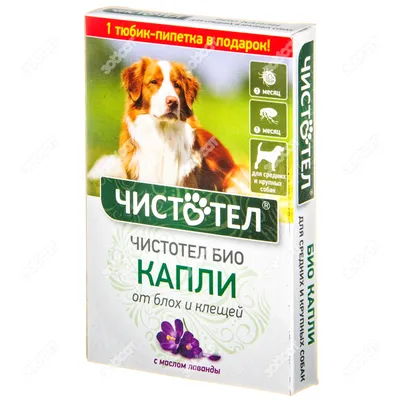 Купить Стронгхолд капли для Собак и Кошек менее 2,5 кг в Бишкеке -  Petshop.kg