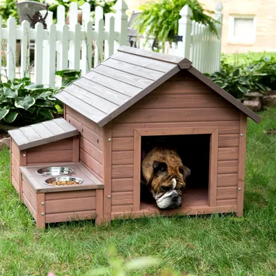 Будка для собаки в доме (73 фото) - картинки sobakovod.club