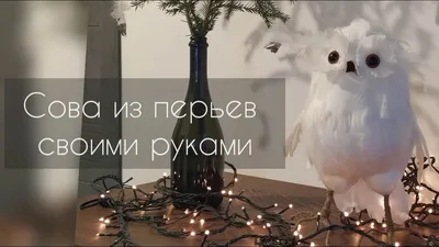 DIY Сова из перьев своими руками - YouTube