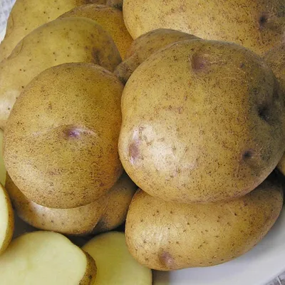 Сорт картофеля синеглазка фото