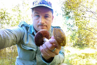 Обычно в это время собирали опята и грузди»: когда в лесах Татарстана  появятся грибы