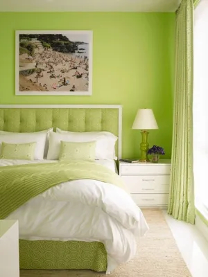 Комната зеленого цвета - 74 фото