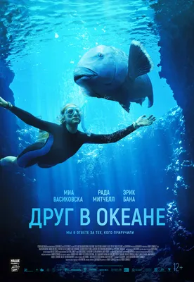 https://cosmikkino.ru/films/797/?city\u003d10