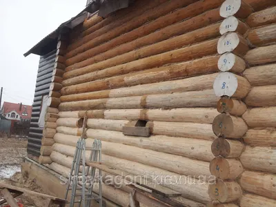 Шлифовка стен деревянных домов, сруба снаружи и внутри от компании ООО  \"Нейтив хаус\" по всей Украине