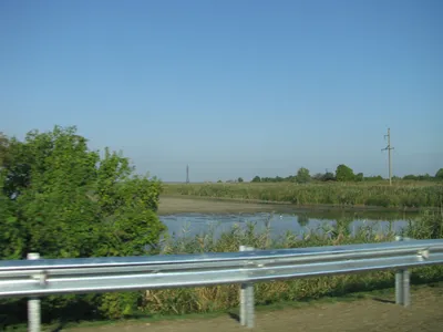 Бейсуг (река) — Википедия
