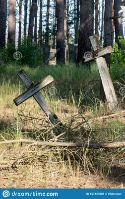 Старое кладбище Старые деревянные кресты на кладбище Стоковое Изображение -  изображение насчитывающей кресты, тоскливость: 157423981