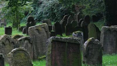 Заброшенное старинное финское кладбище. | vassabi0 - винтажная история |  Дзен