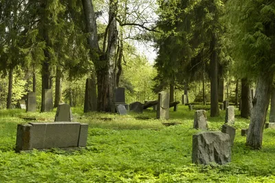 Старинные надгробия-кресты на Даниловском кладбище. Виктория Ивановская ©  ИА REGNUM - ИА REGNUM