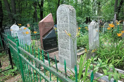 Гулял по лесу и наткнулся на заброшенное старинное кладбище 17 века |  Interjournalist Maxim Novikovski | Дзен