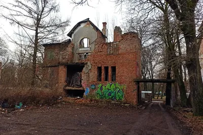 Собственник планирует восстановить две старинные виллы возле немецкого  консульства в Калининграде