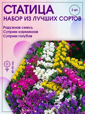 Статица Агрохолдинг ПОИСК statica001 - купить по выгодным ценам в  интернет-магазине OZON