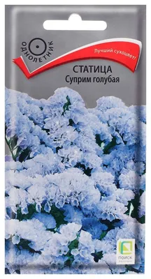 Семена статица суприм голубая 0,15г — купить по низкой цене на Яндекс  Маркете