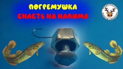 Стукалка на налима фото