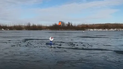 Ловля налима зимой - поиск троп и точек стоянки, снасти и приманки