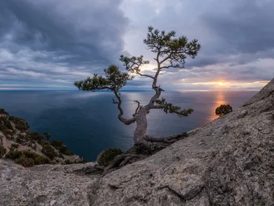 Пик Космоса. Photographer Aleksey Korolev