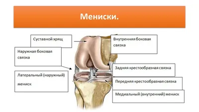 Gulmed Диагностический Центр | Bishkek