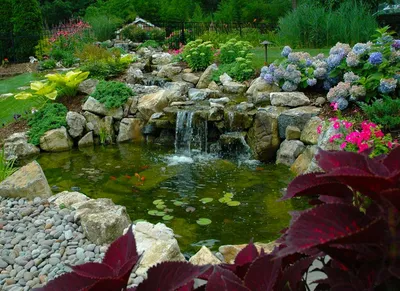 Садовый водоем: устройство своими руками, выбор размера, расположение в саду