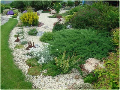 Сухой ручей в дизайне сада (21-7) | Ландшафтный дизайн садов и участков |  Гарден и Я | ПОДБОРКА фотографий сада