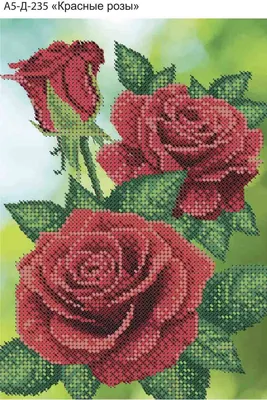 Купить А5-Д-235 - Схема для вышивки бисером Красные розы | Мамино лукошко