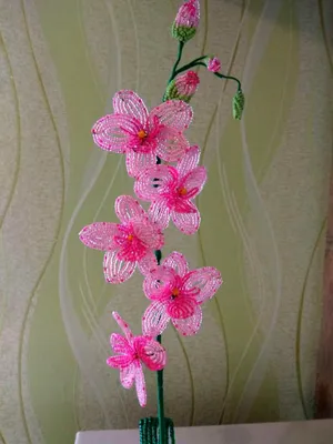 Орхидея из бисера (120 фото): легкие мастер-классы и пошаговые схемы  плетения