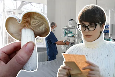 В Даниловском районе Волгоградской области отравилась грибами многодетная  семья - 4 октября 2021 - v1.ru