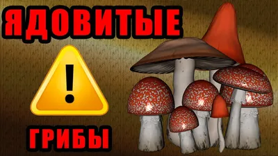 Ядовитые грибы Крыма - Путешествие по Крыму