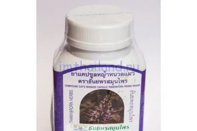 Кошачий Ус тайские таблетки для лечения почек 100 шт купить в Москве почтой  из Таиланда | Цена 574.80 руб