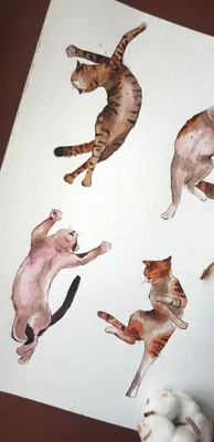 Женский свитшот Танцующие Коты (Авторские дизайны) за 2399 ₽ на заказ с  принтом надписью купить в Print Bar (APD-130001) ✌