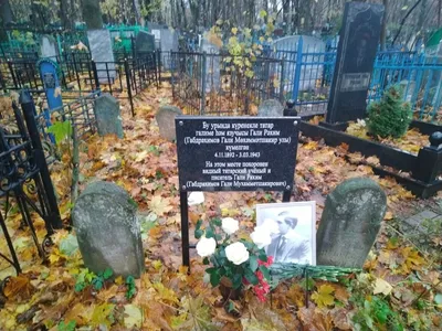 В Тамбовской области осквернили могилу росгвардейца, погибшего в ходе СВО -  ИА REGNUM