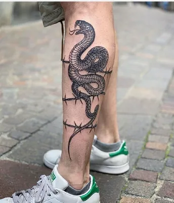 Татуировка Змеи | Современные татуировки, Тату, Тату кобры