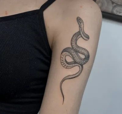 Тату змея значение на зоне | Татуировка змей, фото, эскизы