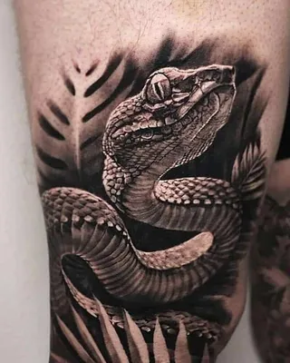Tattoo • Подборка тату на тему: Змея на ноге (83 фото)