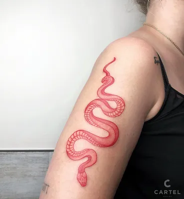 Тату цветная змея - 24 Фото и значение татуировок. 2023