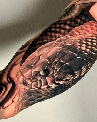 Tattoo • Тату Змея для мужчин