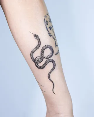 Женские тату змеи на руке (104 фото)