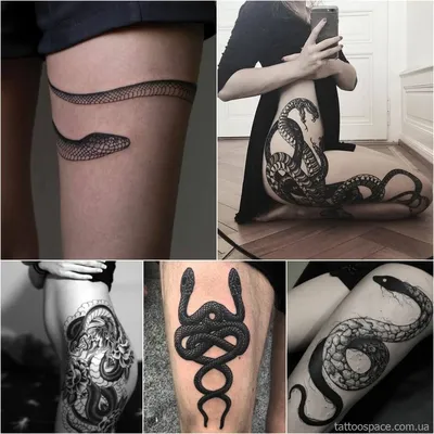 ① Значение татуировки змеи значение для девушек и мужчин, фото, эскизы тату