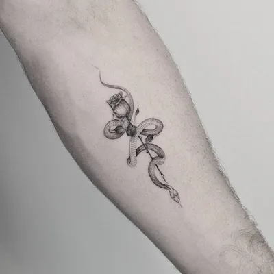 Татуировки маленькие змеи (70 фото)