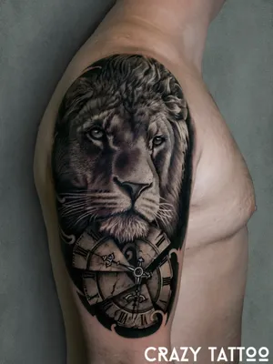 Тату со львом и часами в реализме. Больше татуировок и эскизов со львом на  сайте и в Инстаграме | Animal tattoo, Tattoos, American art