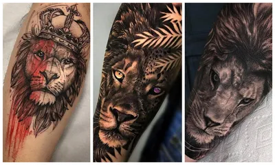 50 Фото] Тату Лев для Мужчин - Символ Мужества и Уверенности | TattooAssist