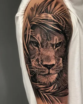 Татуировка Льва в Листьях в Стиле Реализм | Mens lion tattoo, Lion forearm  tattoos, Lion shoulder tattoo