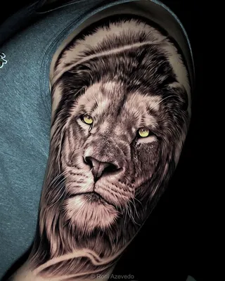 Лев, реализм, тату на плече у парня - фото татуировок
