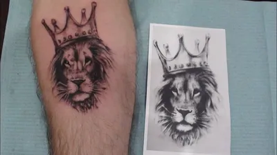 Тату лев Tattoo Lion in the caron - YouTube