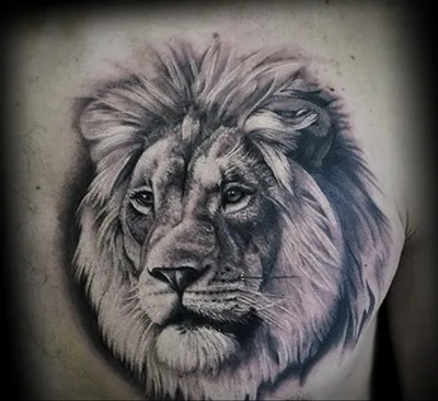 Значение татуировки лев - история и примеры готовых тату