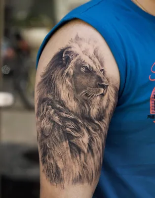 Татуировка льва на плече (48 фото)
