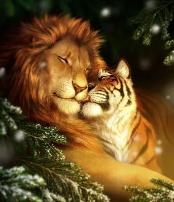 Тигрица и Лев вместе - 33 фото