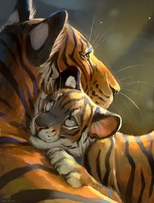 Тверь | Тверской тигр Барсик нашел любовь в Нижнем Новгороде и стал отцом -  БезФормата