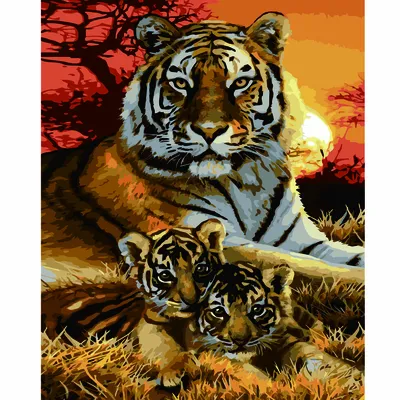 Тигр в Дикой природе лежит - обои на рабочий стол